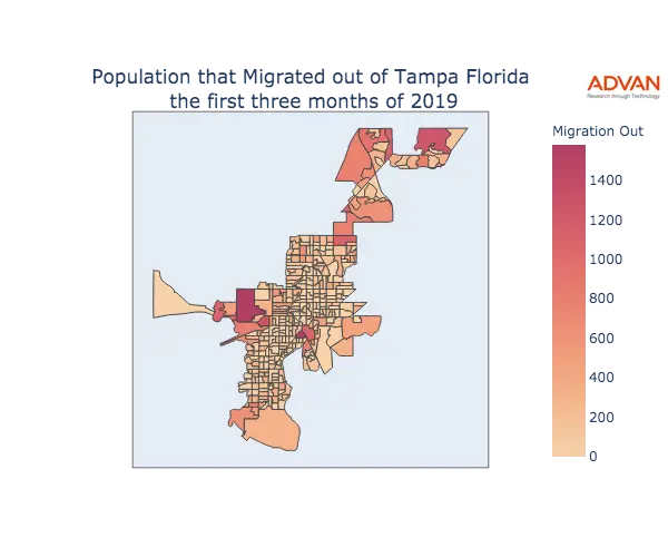 Tampa migration out